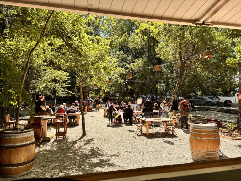 La Guinguette Bonobrousse