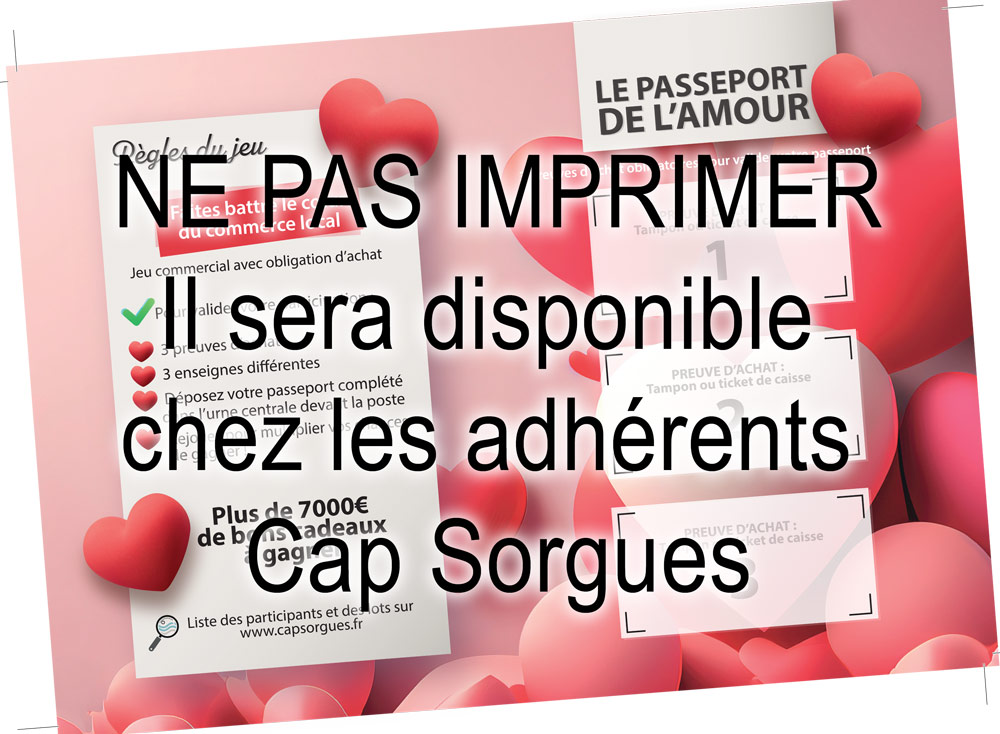Ne pas imprimer