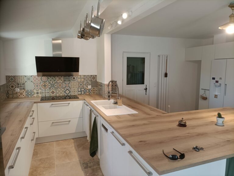 francois koenig multiservices